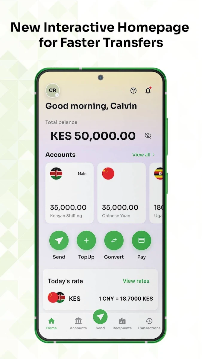 WapiPay Global transfer dashboard